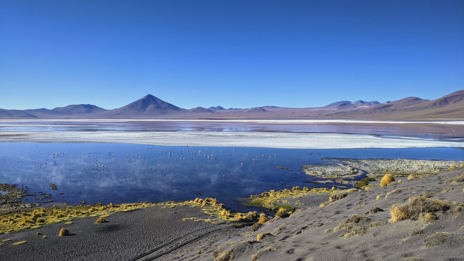altiplano lagoon volcano