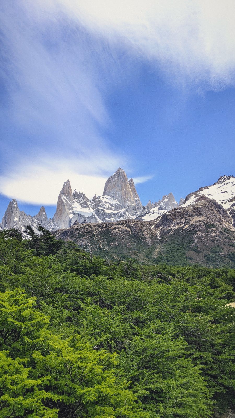 fitz roy forest