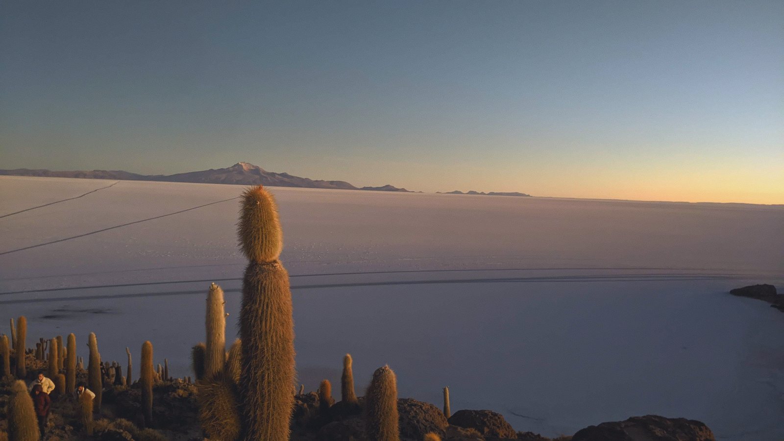 salar cacti island dusk
