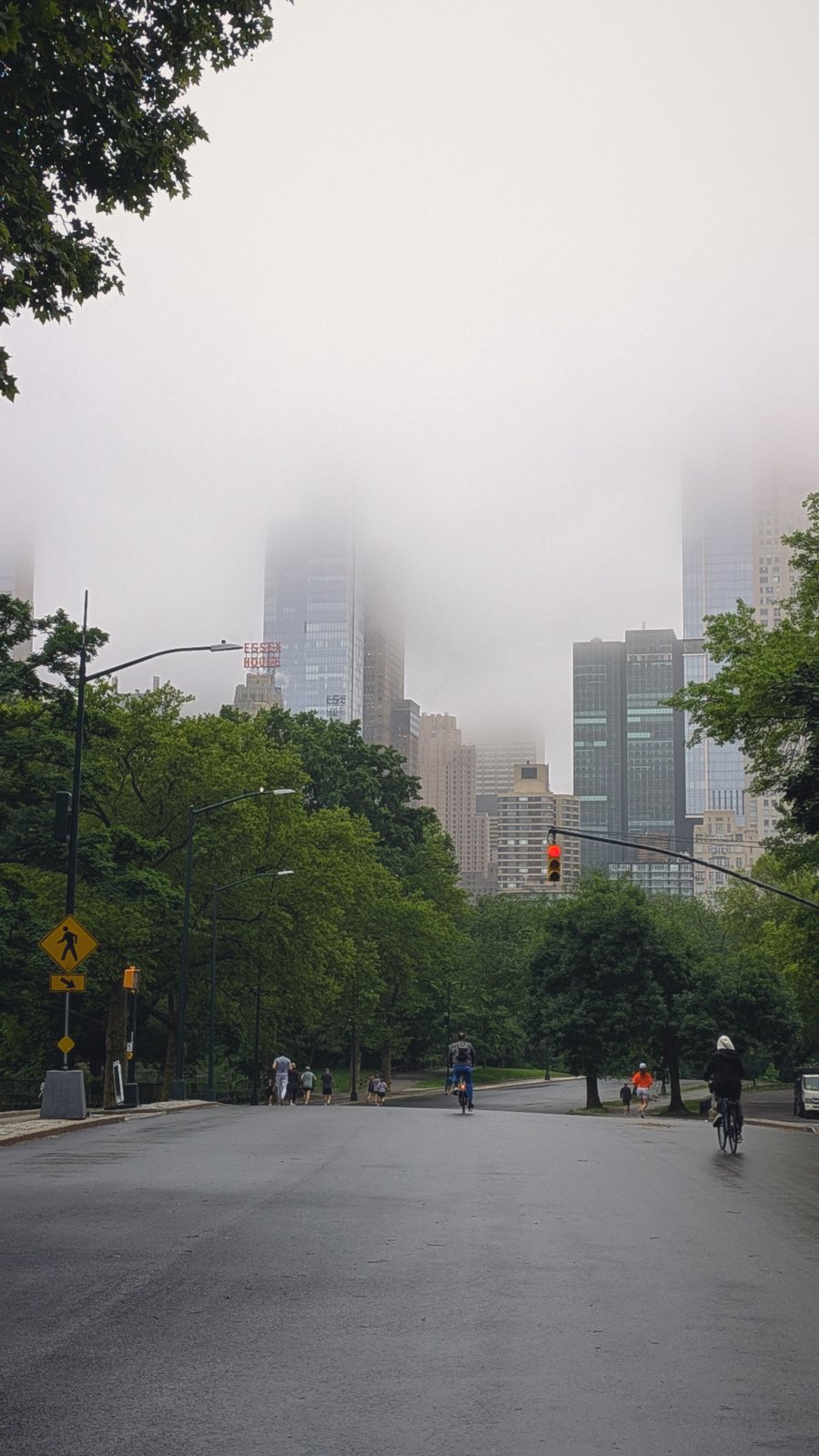vancouver street towers fog