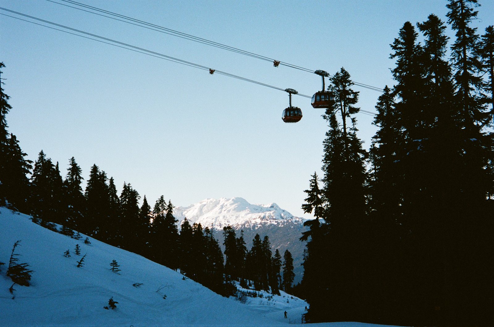 gondola above pines snow